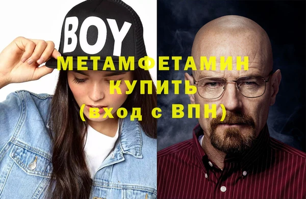 прущие грибы Беломорск