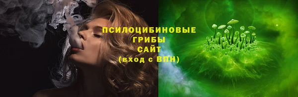 гашиш Богданович