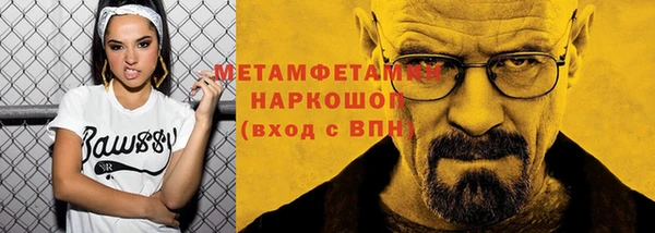 прущие грибы Беломорск