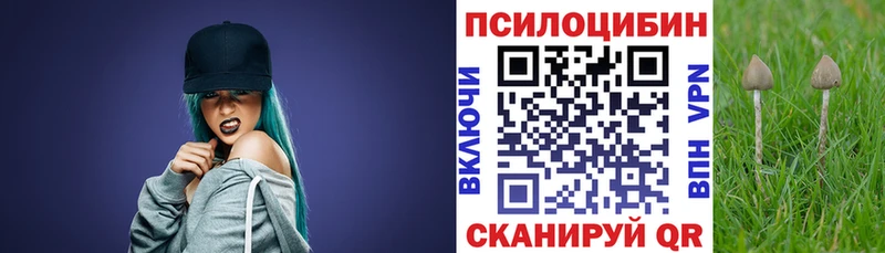 где можно купить наркотик  Гремячинск  Галлюциногенные грибы GOLDEN TEACHER 