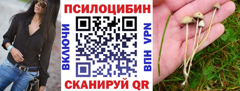 Псилоцибиновые грибы Psilocybe Гремячинск